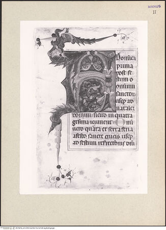 Vorderseite von bh256824_recto