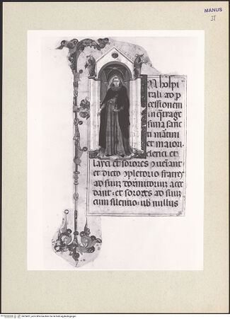 Vorderseite von bh256831_recto