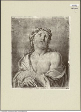 Vorderseite von bh256955_recto