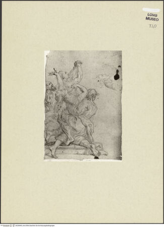 Vorderseite von bh256969_recto