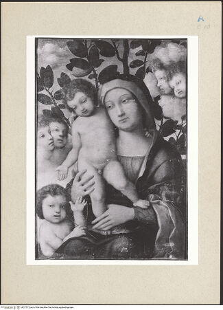 Vorderseite von bh257073_recto