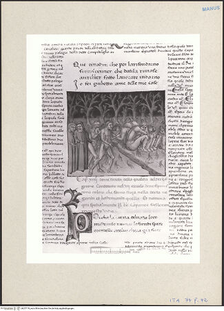 Vorderseite von bh257176_recto