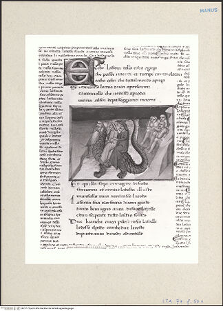 Vorderseite von bh257179_recto