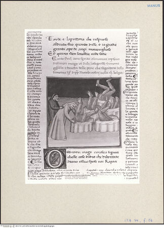 Vorderseite von bh257181_recto