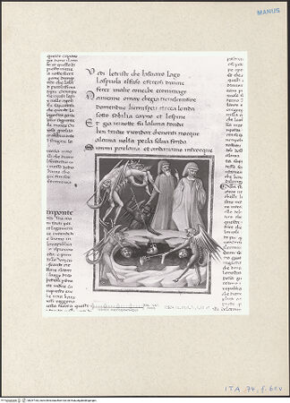 Vorderseite von bh257183_recto