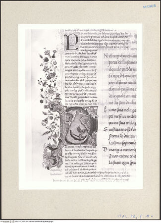 Vorderseite von bh257194_recto