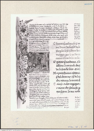 Vorderseite von bh257217_recto