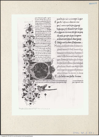 Vorderseite von bh257218_recto