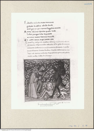 Vorderseite von bh257229_recto