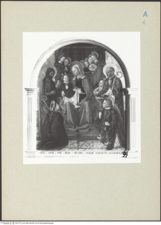 Vorderseite von bh257373_recto