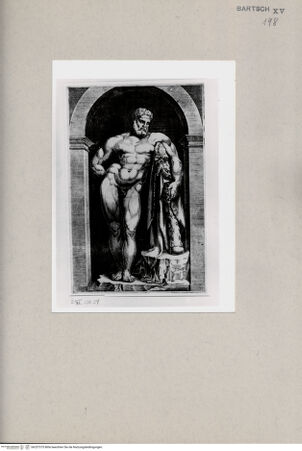 Vorderseite von  [http://creativecommons.org/publicdomain/mark/1.0/] Herkules Farnese - , bh257375. Foto.