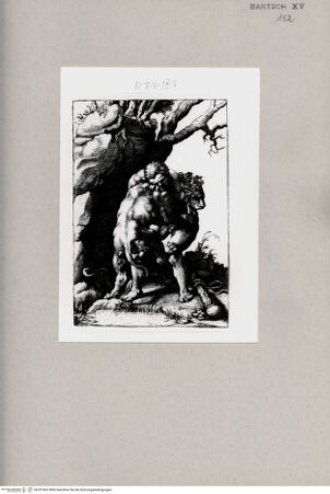 Vorderseite von  [http://creativecommons.org/publicdomain/mark/1.0/] Herkules - , bh257402. Foto.