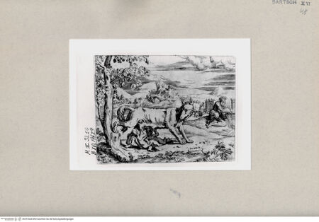 Vorderseite von  [http://creativecommons.org/publicdomain/mark/1.0/] ... - , bh257464. Foto.