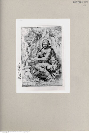 Vorderseite von  [http://creativecommons.org/publicdomain/mark/1.0/] ... - , bh257480. Foto.