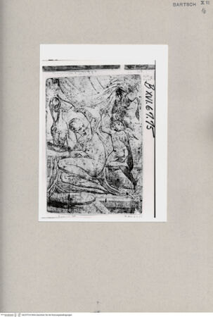 Vorderseite von  [http://creativecommons.org/publicdomain/mark/1.0/] Venus - , bh257516. Foto.