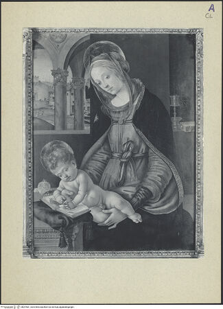 Vorderseite von bh257681_recto