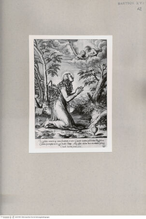 Vorderseite von  [http://creativecommons.org/publicdomain/mark/1.0/] Heilige Magdalena - , bh257891. Foto.