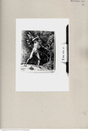 Vorderseite von  [http://creativecommons.org/publicdomain/mark/1.0/] Herkules - , bh258037. Foto.