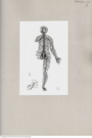 Vorderseite von  [http://creativecommons.org/publicdomain/mark/1.0/] ... - , bh258099. Foto.