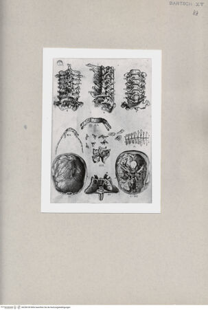 Vorderseite von  [http://creativecommons.org/publicdomain/mark/1.0/] ... - , bh258100. Foto.