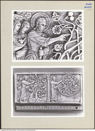 Vorderseite von bh258220_bh258221_recto