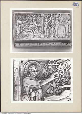 Vorderseite von bh258222_bh258223_recto