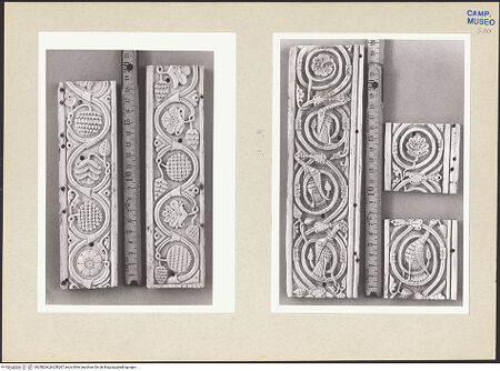 Vorderseite von bh258266_bh258267_recto