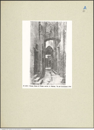 Vorderseite von bh258384_recto