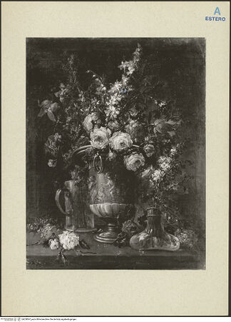 Vorderseite von bh258597_recto