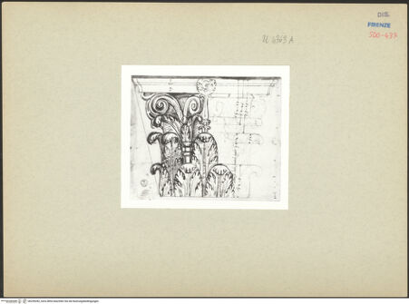 Vorderseite von bh259282_recto