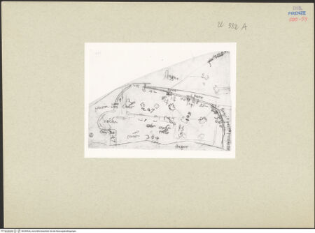 Vorderseite von bh259526_recto