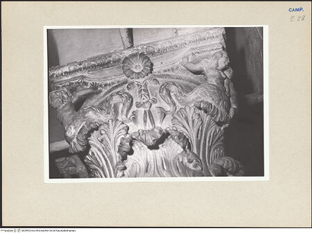 Vorderseite von Pace, Valentino [https://www.deutsche-digitale-bibliothek.de/content/lizenzen/rv-ez/] Linke KanzelKapitell mit Tritonen - Südliche Seite, Detail, bh259653_recto. Foto: Pace, Valentino.