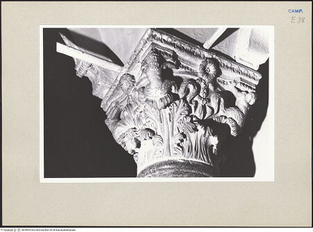 Vorderseite von Pace, Valentino [https://www.deutsche-digitale-bibliothek.de/content/lizenzen/rv-ez/] Linke KanzelKapitell mit Tritonen - Südliche und östliche Seiten, Detail, bh259654_recto. Foto: Pace, Valentino.