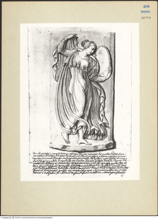 Vorderseite von bh259757_recto