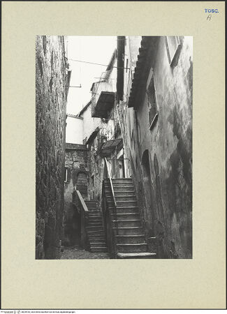 Vorderseite von bh259782_recto