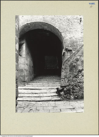 Vorderseite von bh259783_recto