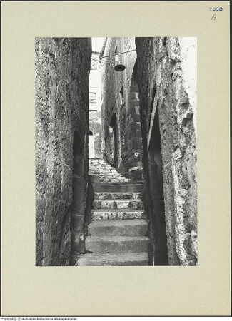 Vorderseite von bh259785_recto