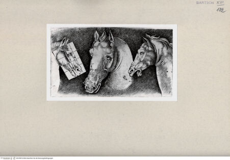 Vorderseite von  [http://creativecommons.org/publicdomain/mark/1.0/] ... - , bh259876. Foto.