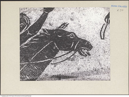 Vorderseite von bh260154_recto