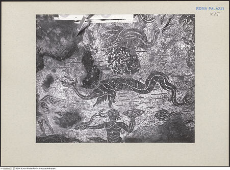 Vorderseite von bh260156_recto