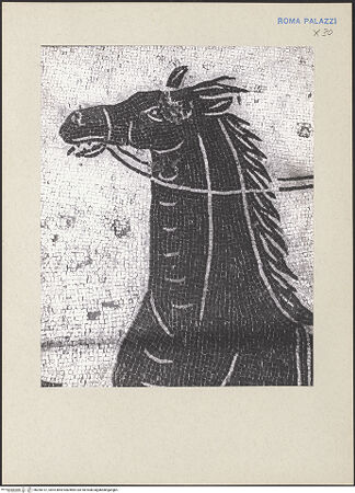 Vorderseite von bh260157_recto