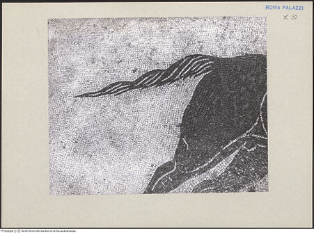 Vorderseite von bh260158_recto