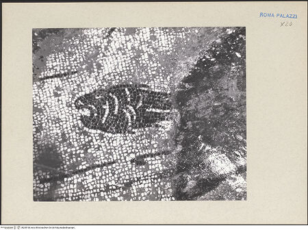 Vorderseite von bh260160_recto