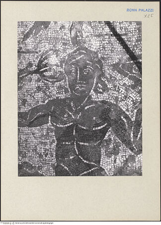 Vorderseite von bh260164_recto