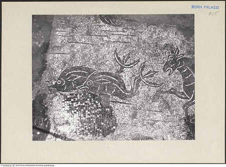 Vorderseite von bh260165_recto