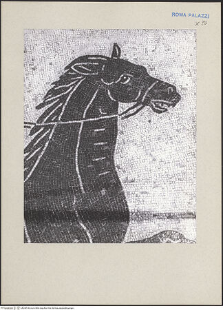 Vorderseite von bh260166_recto