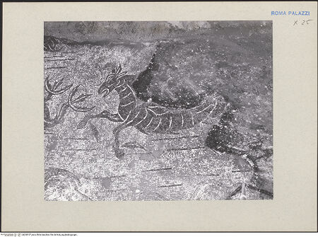 Vorderseite von bh260167_recto