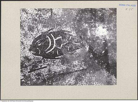 Vorderseite von bh260169_recto