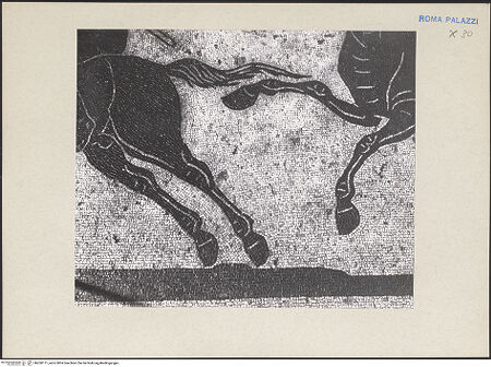 Vorderseite von bh260171_recto