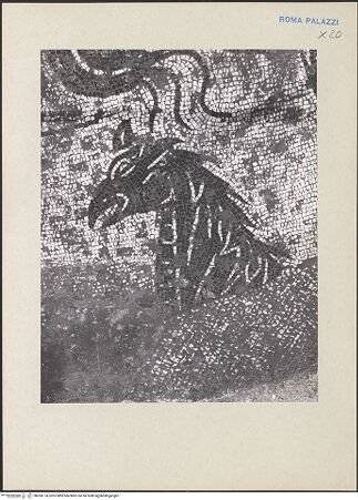 Vorderseite von bh260174_recto